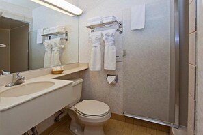 Shower, hair dryer - Town House Motel (San Francisco)
