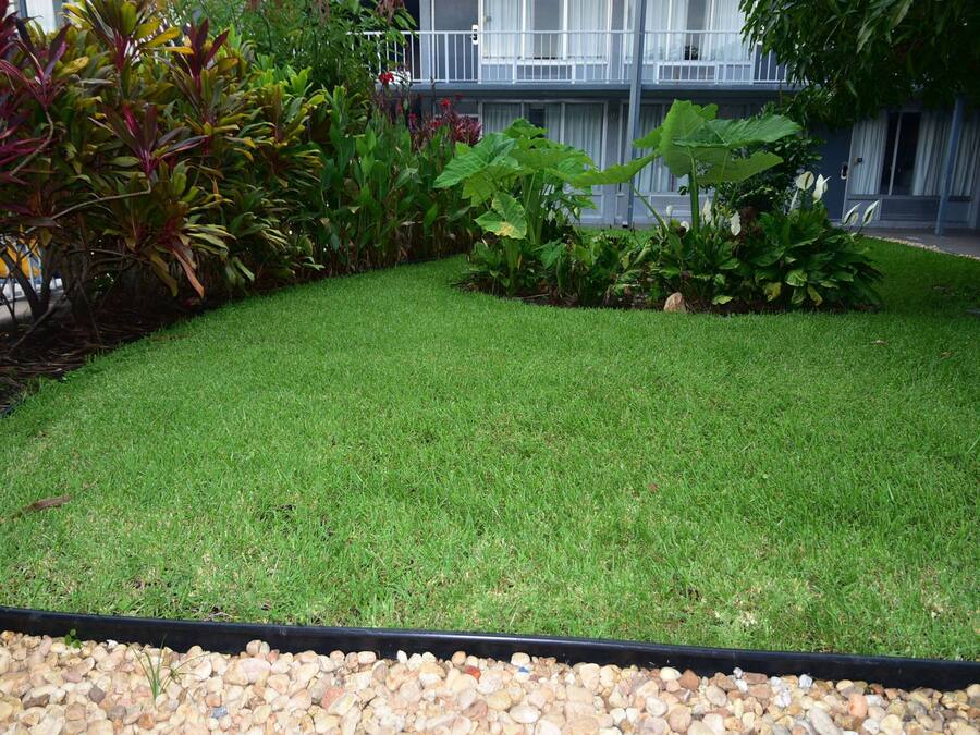 Uma área ajardinada bem cuidada, com diversas plantas e um caminho pavimentado.