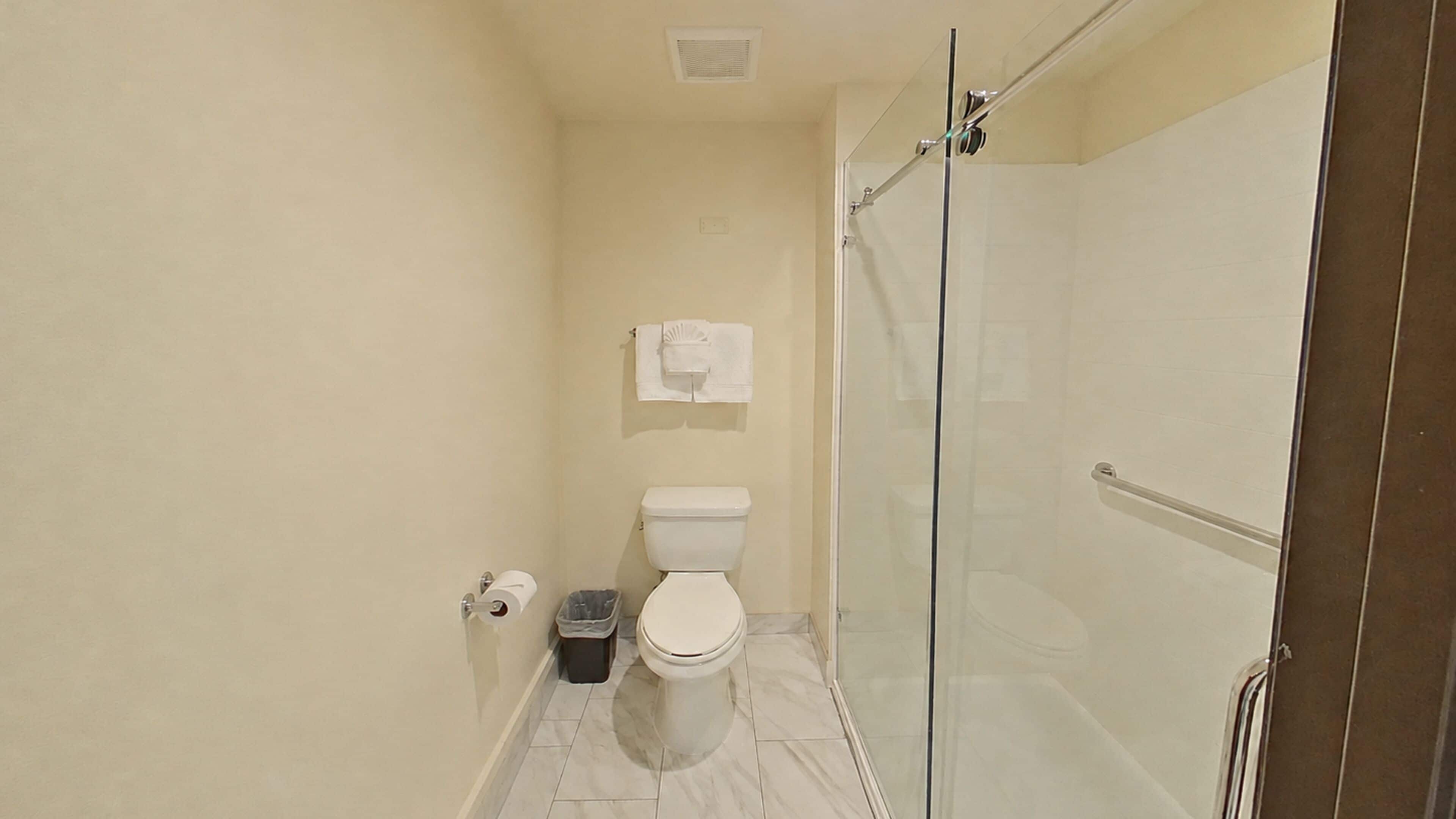 A bathroom with a toilet, a glass shower enclosure, and a trash bin.
