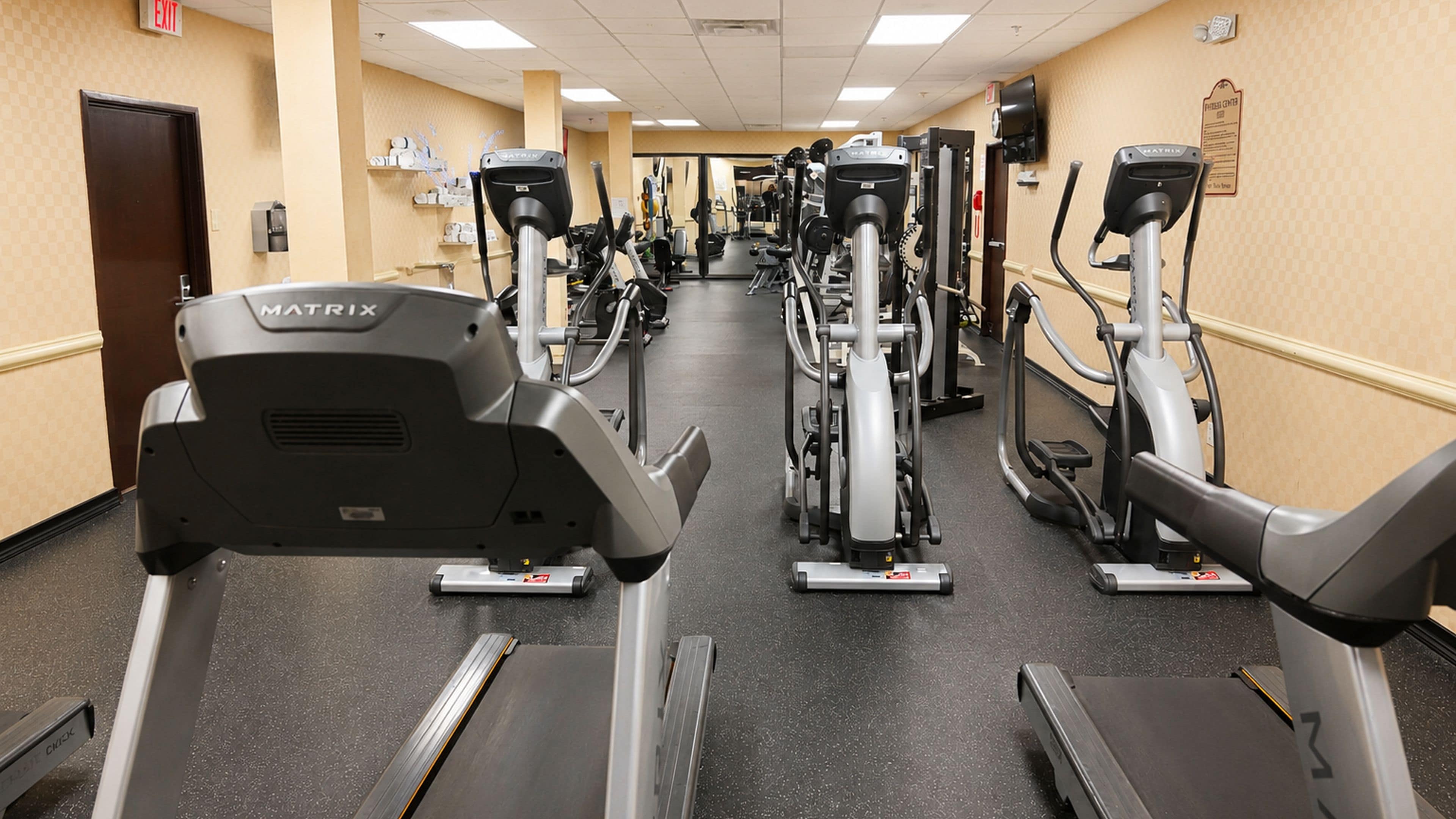 A gym with multiple cardio machines, including treadmills and stationary bikes, arranged in a row.