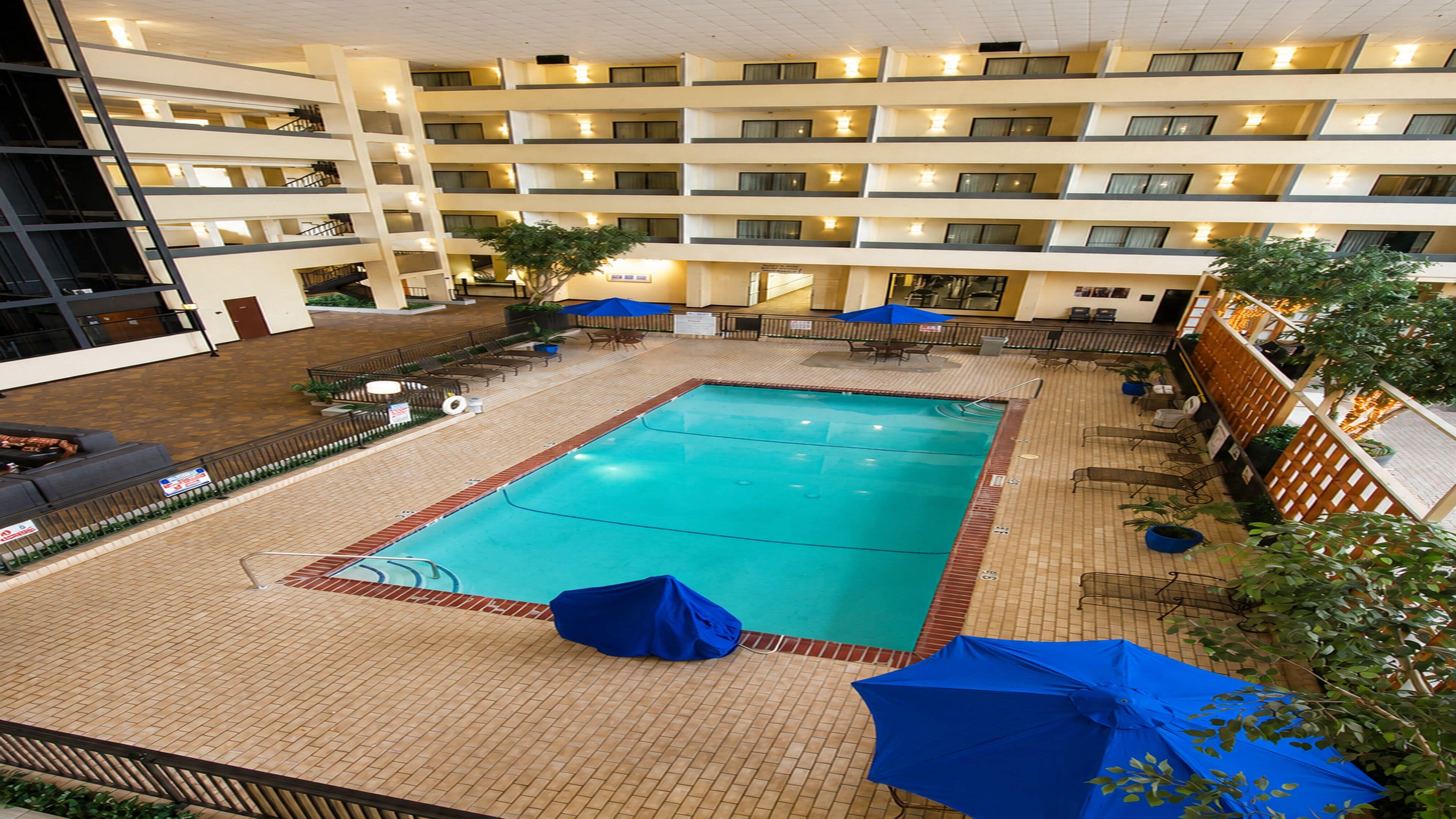 A hotel pool area with a rectangular pool, lounge chairs, and umbrellas.