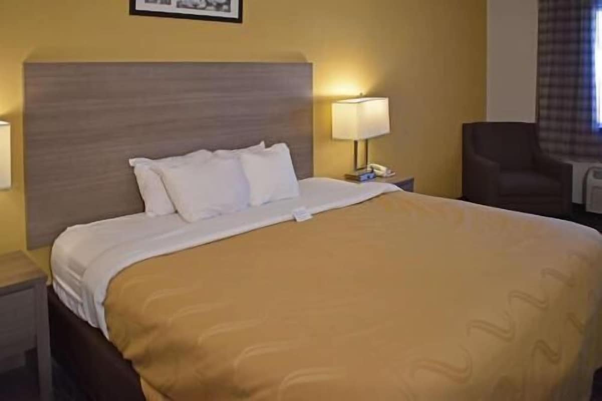 Une chambre d’hôtel avec un grand lit, une table de chevet avec une lampe, une chaise et un tableau au mur.