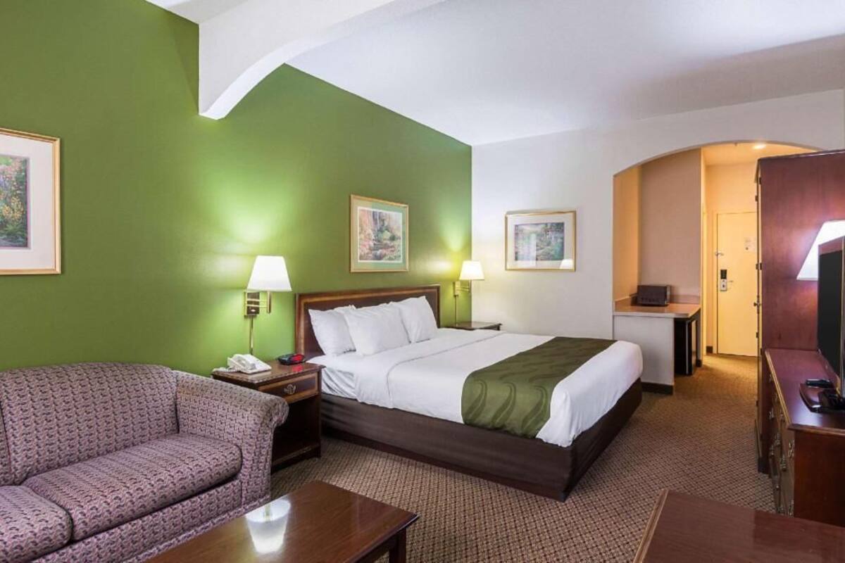 Une chambre d’hôtel avec un lit, un canapé, un bureau et une télévision.