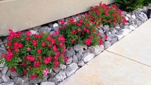 A garden bed with pink flowers and gray stones. - Holiday Inn Express & Suites Jackson Downtown - Coliseum by IHG (Jackson)