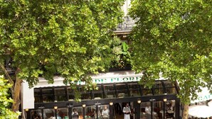 Un café al aire libre con mesas y sillas bajo un dosel de árboles, con un letrero que dice "DE FLORE".