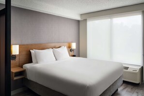 Premium bedding, desk, blackout curtains, iron/ironing board - Hyatt Place Greensboro (Greensboro)