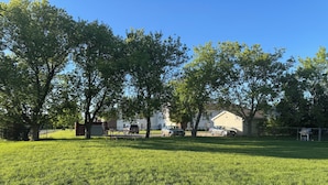 A grassy yard with trees and a house in the background.