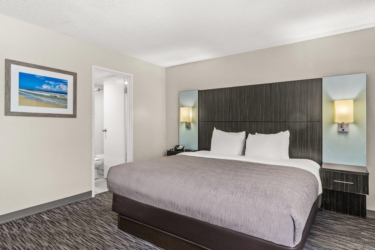 Standard Room, 1 King Bed with Sofa bed, Non Smoking