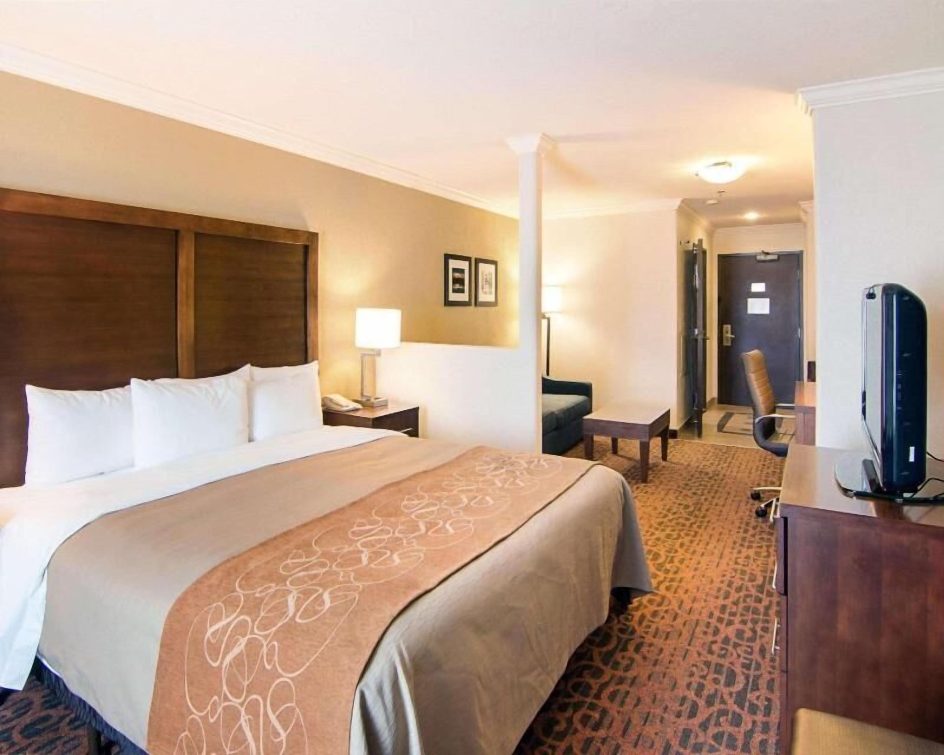 Premium bedding, pillow-top beds, in-room safe, desk