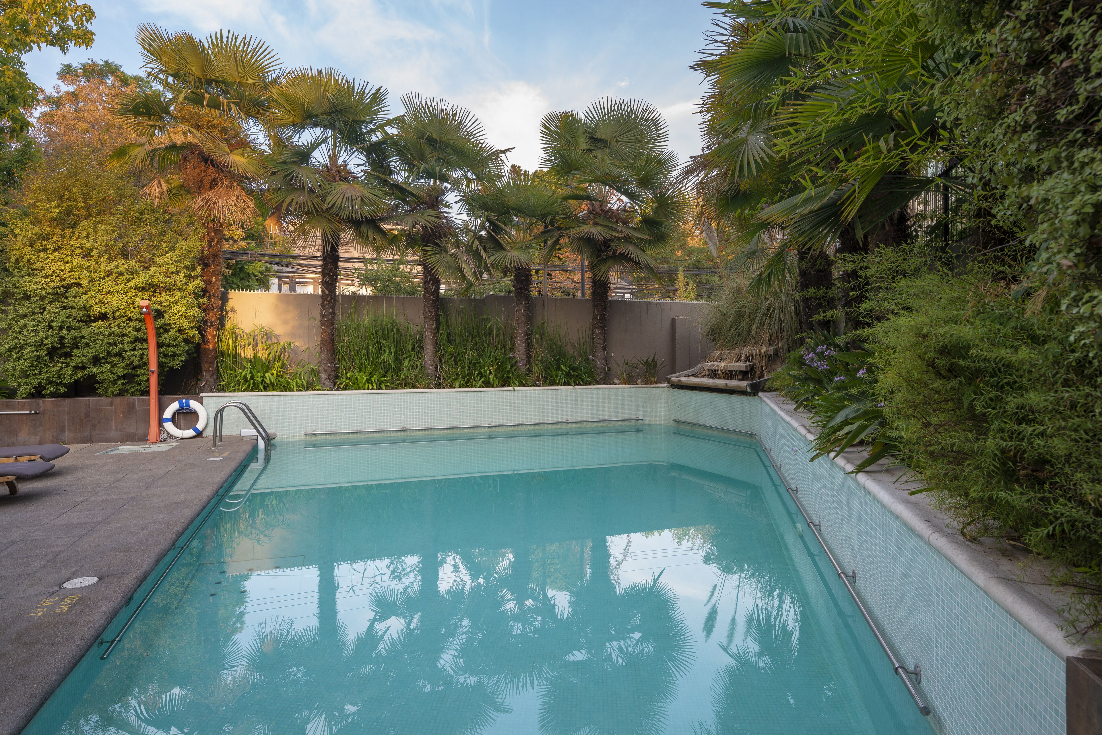 Una piscina rodeada de exuberante vegetación y palmeras.