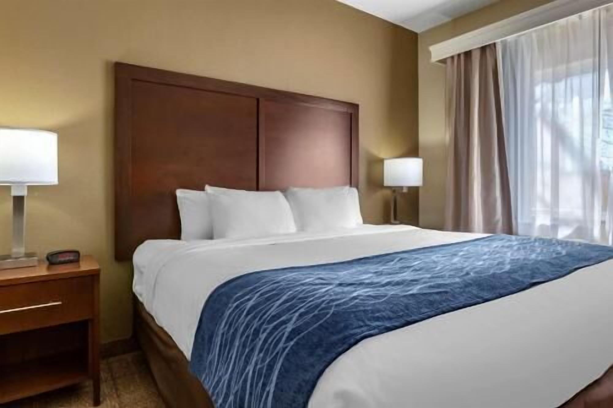 Biancheria da letto di alta qualità, una scrivania, postazione laptop