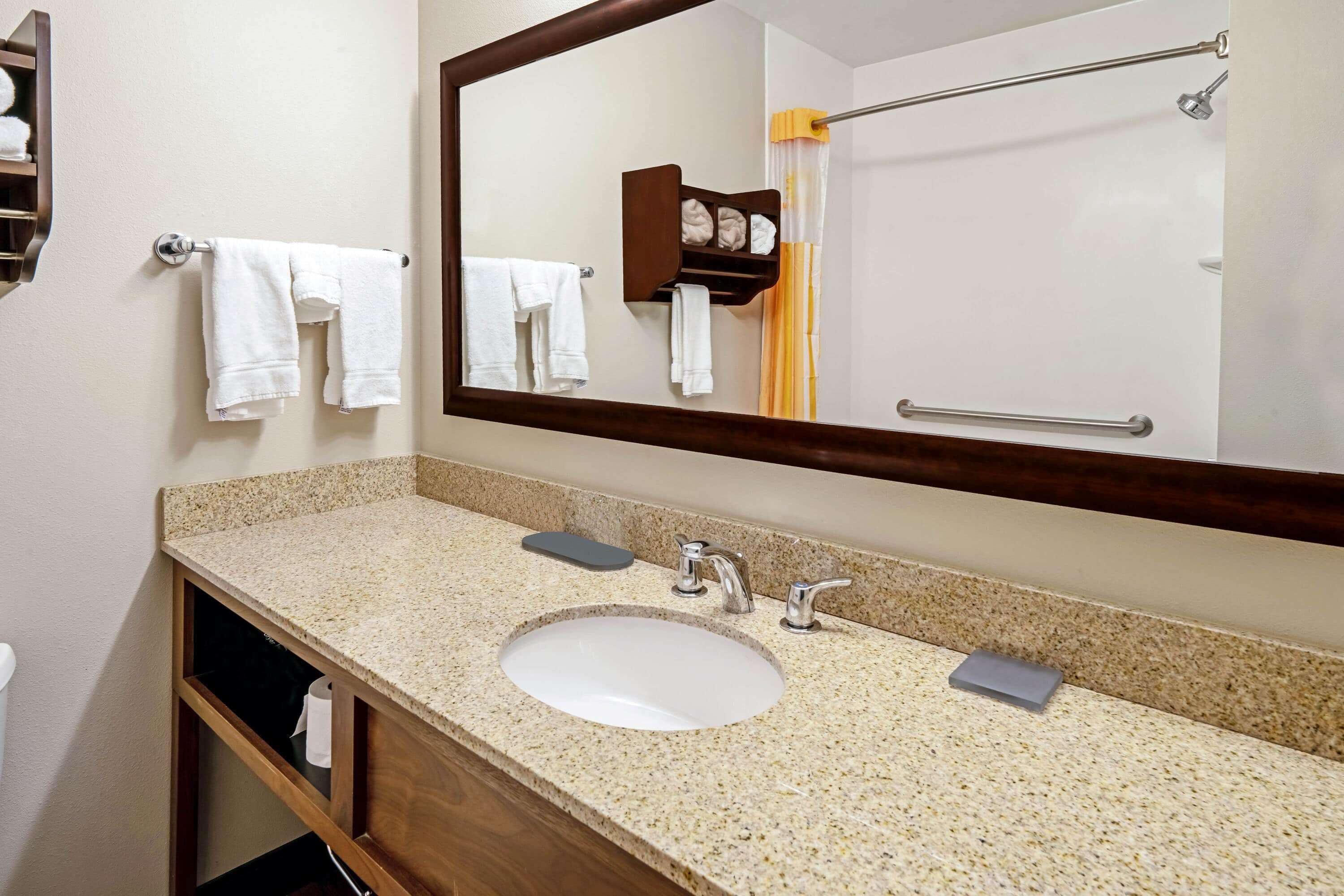 combined shower/bathtub, free toiletries, hair dryer, towels