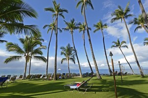 A beachside view with rows of sun loungers and palm trees, a clear sky, and the ocean in the background.