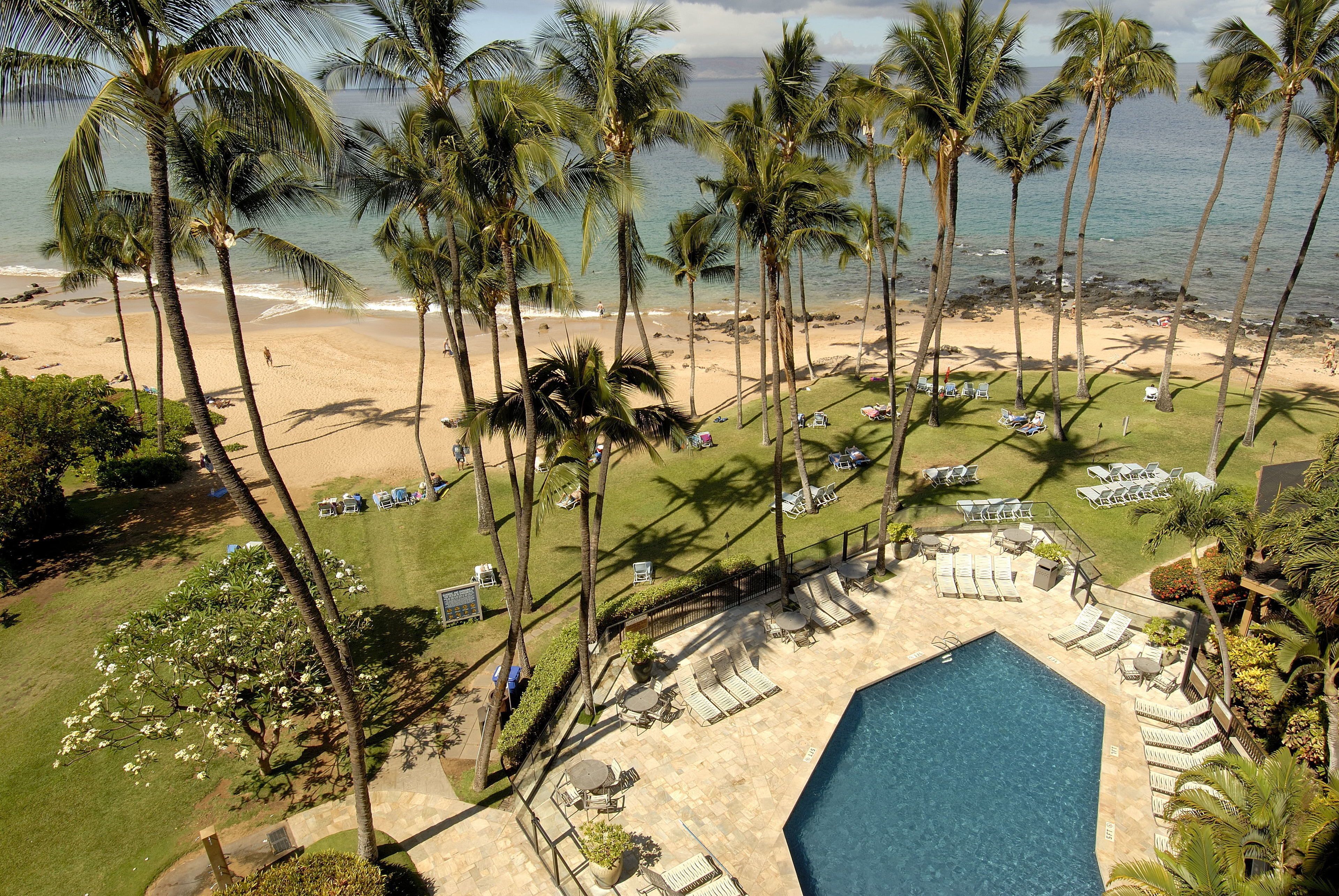 A resort with a pool, lounge chairs, and palm trees.