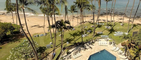 A resort with a pool, lounge chairs, and palm trees.