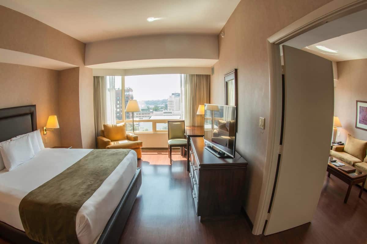 Deluxe-Suite, 1Â King-Bett, Nichtraucher
