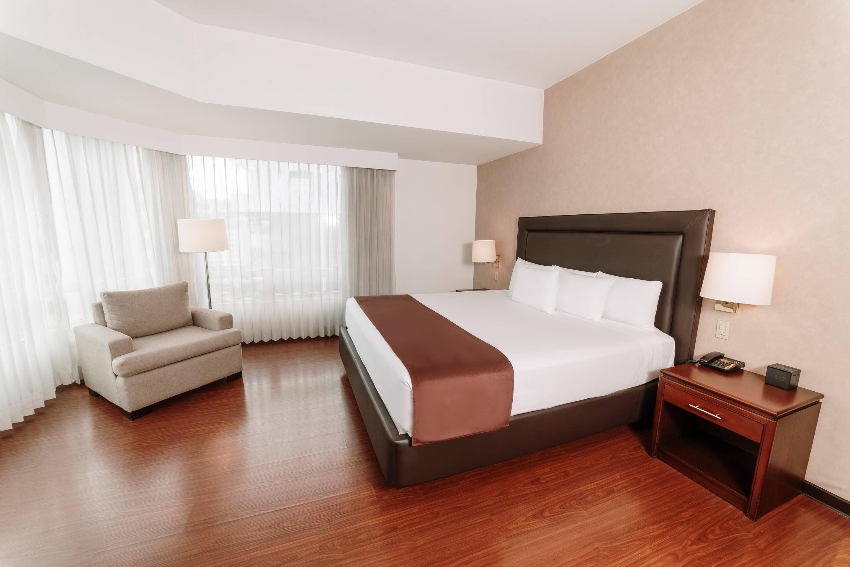 Deluxe Suite, 1 King Bed with Sofa bed