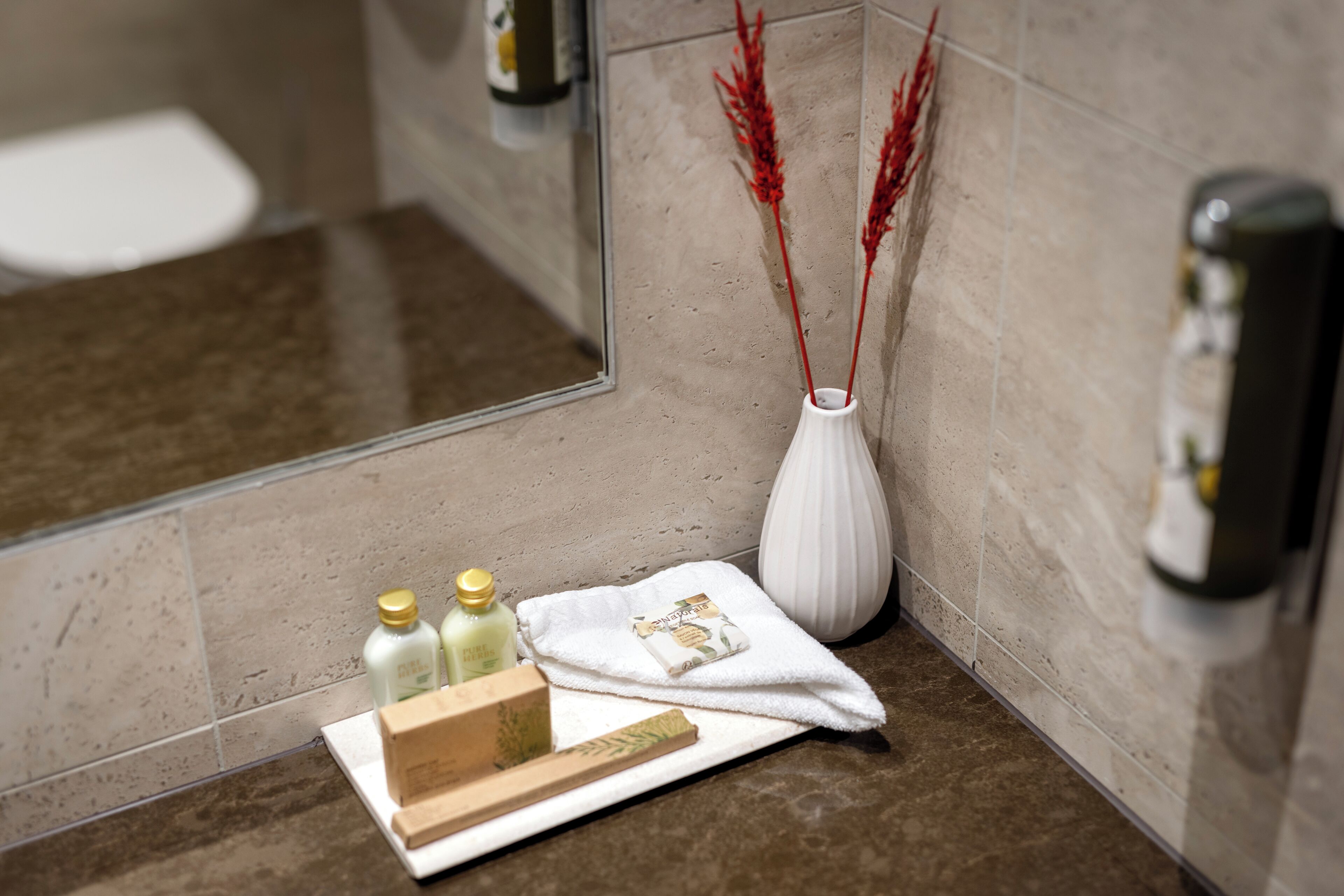 Une salle de bain avec un miroir, un vase blanc contenant des plantes décoratives rouges et des articles de toilette disposés sur un plateau.