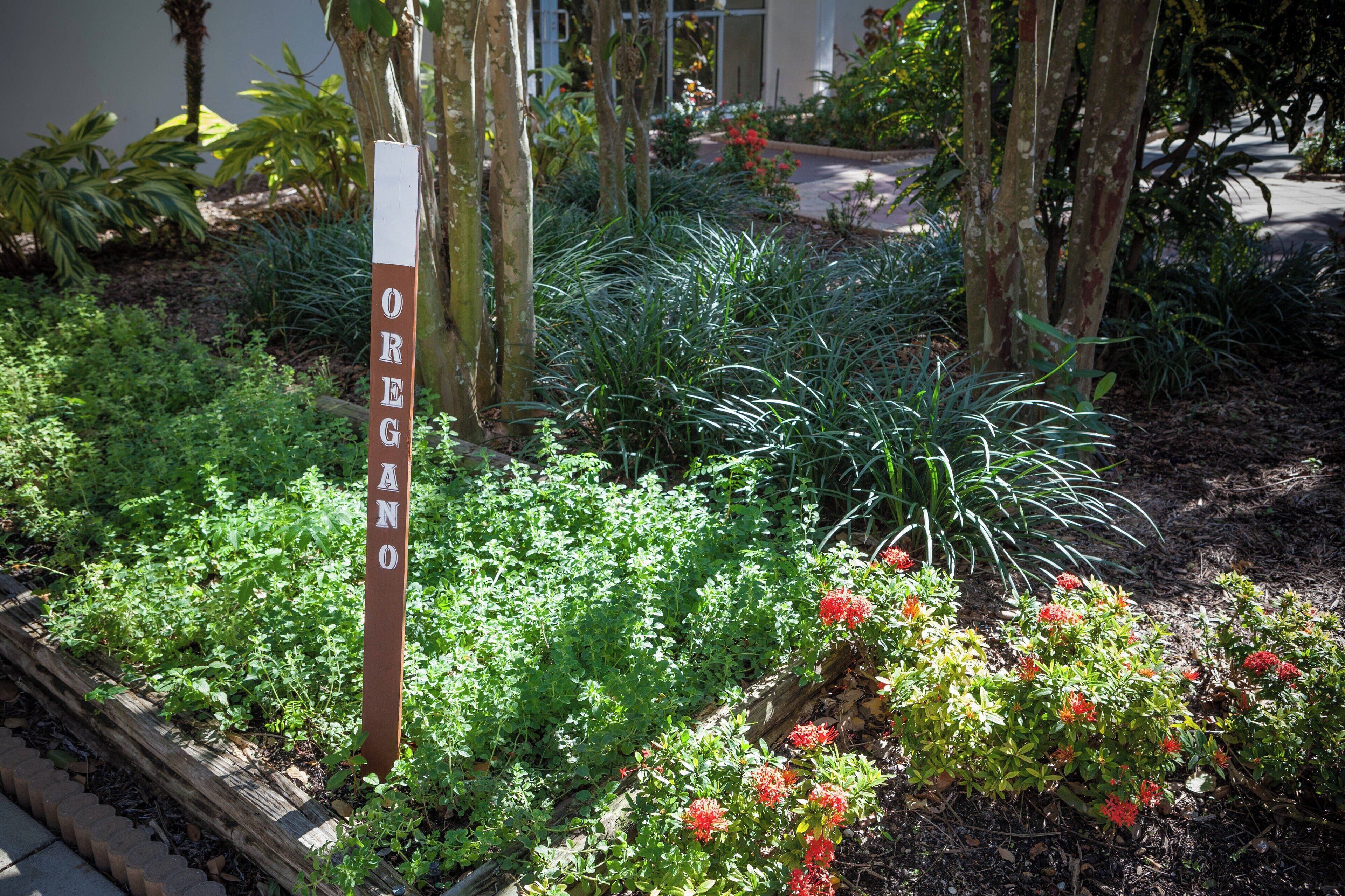 breakfast, lunch, dinner served; american cuisine