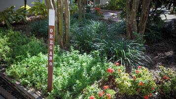 Uma área de jardim com uma placa que diz 'OREGANO'.