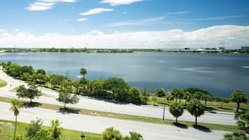 A waterfront road with palm trees and a view of the water.