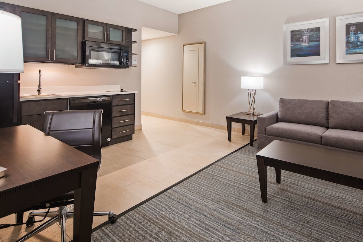 Suite, 1 King Bed, Non Smoking, Kitchenette (Shower Only;with Sofabed) | Private kitchen | Fridge, microwave, coffee/tea maker