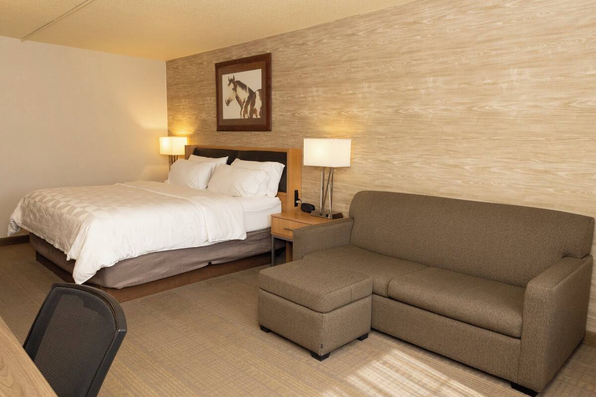 Una habitación de hotel con una cama, un sofá, una silla y dos lámparas de noche.