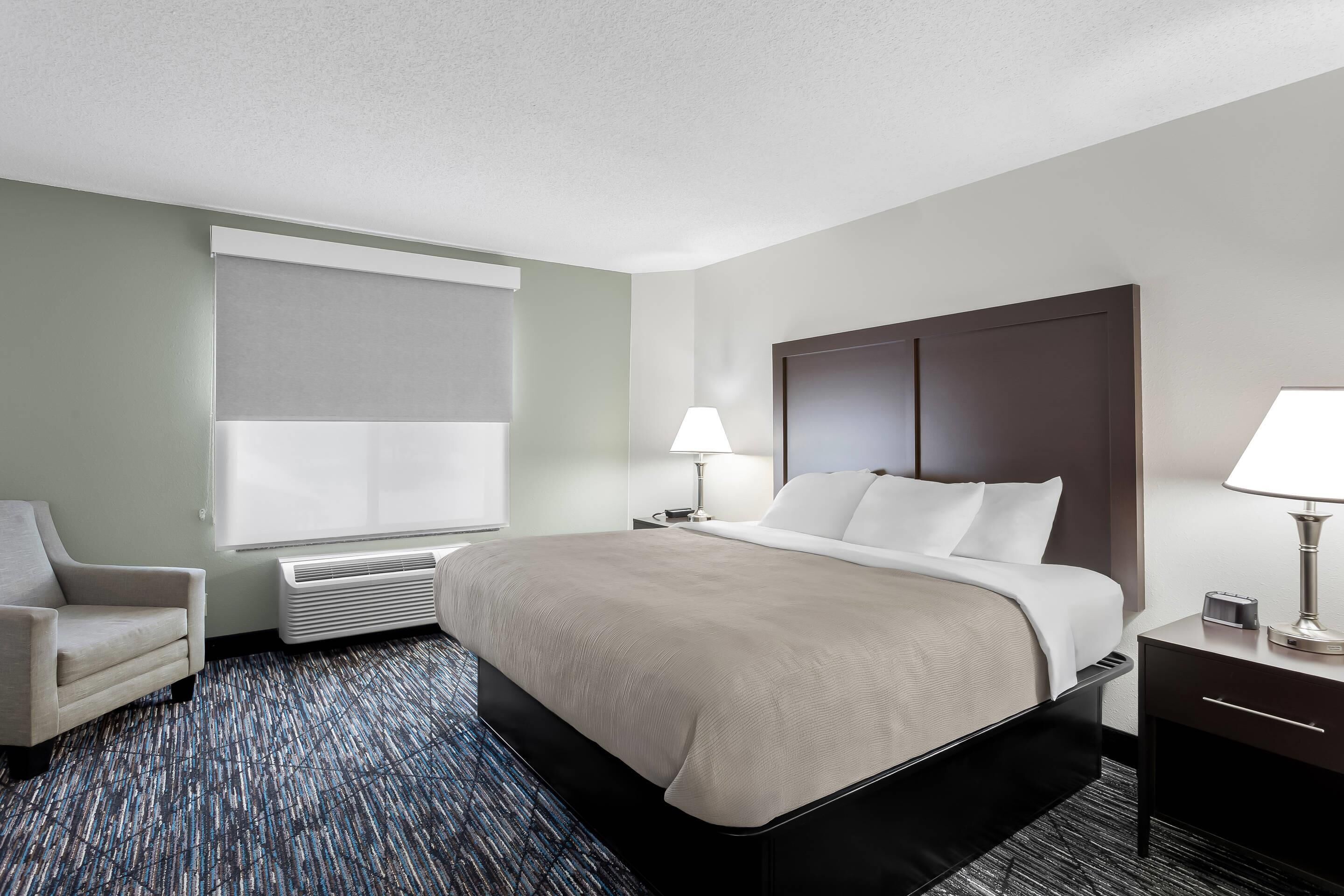 Room, 1 King Bed, Non Smoking