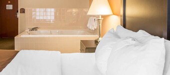 Quality Inn & Suites Niles