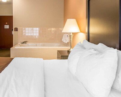 Quality Inn & Suites Niles