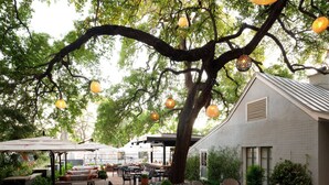 An outdoor patio area with seating and tables, surrounded by trees and plants.