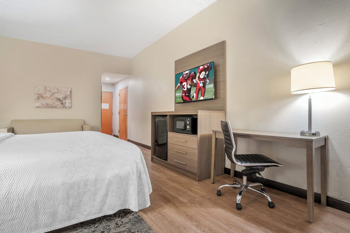 A hotel room with a bed, a desk with a chair, a TV, a microwave, and a lamp.