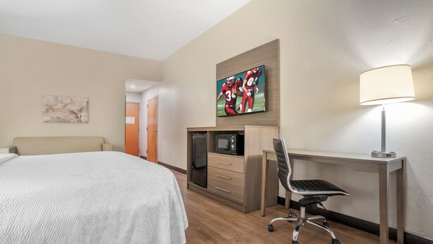 Une chambre d’hôtel comprenant un lit, un bureau avec une chaise, une télévision, un four à micro-ondes et une lampe.