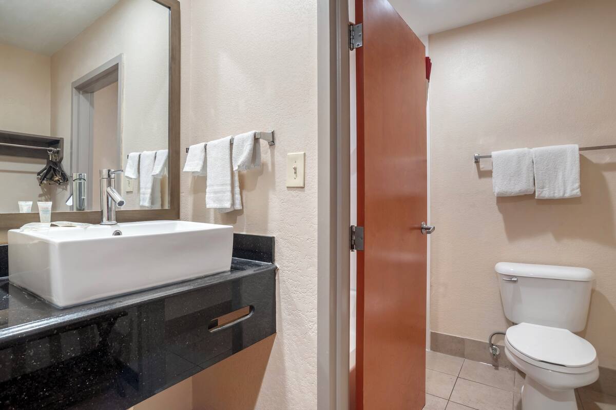A bathroom with a white sink, a mirror, and a toilet.