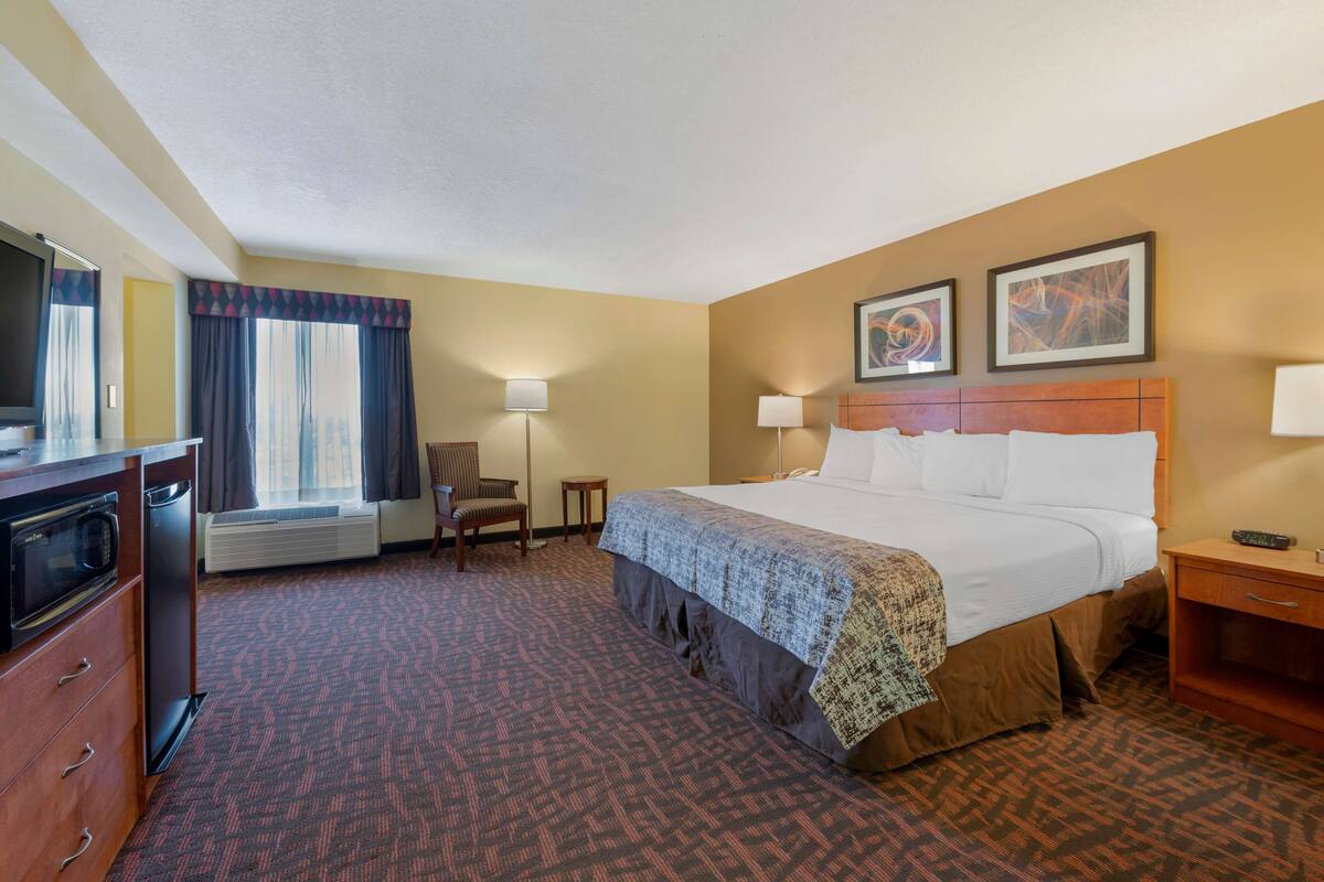 A hotel room with a bed, a desk, a chair, a TV, and a heater.