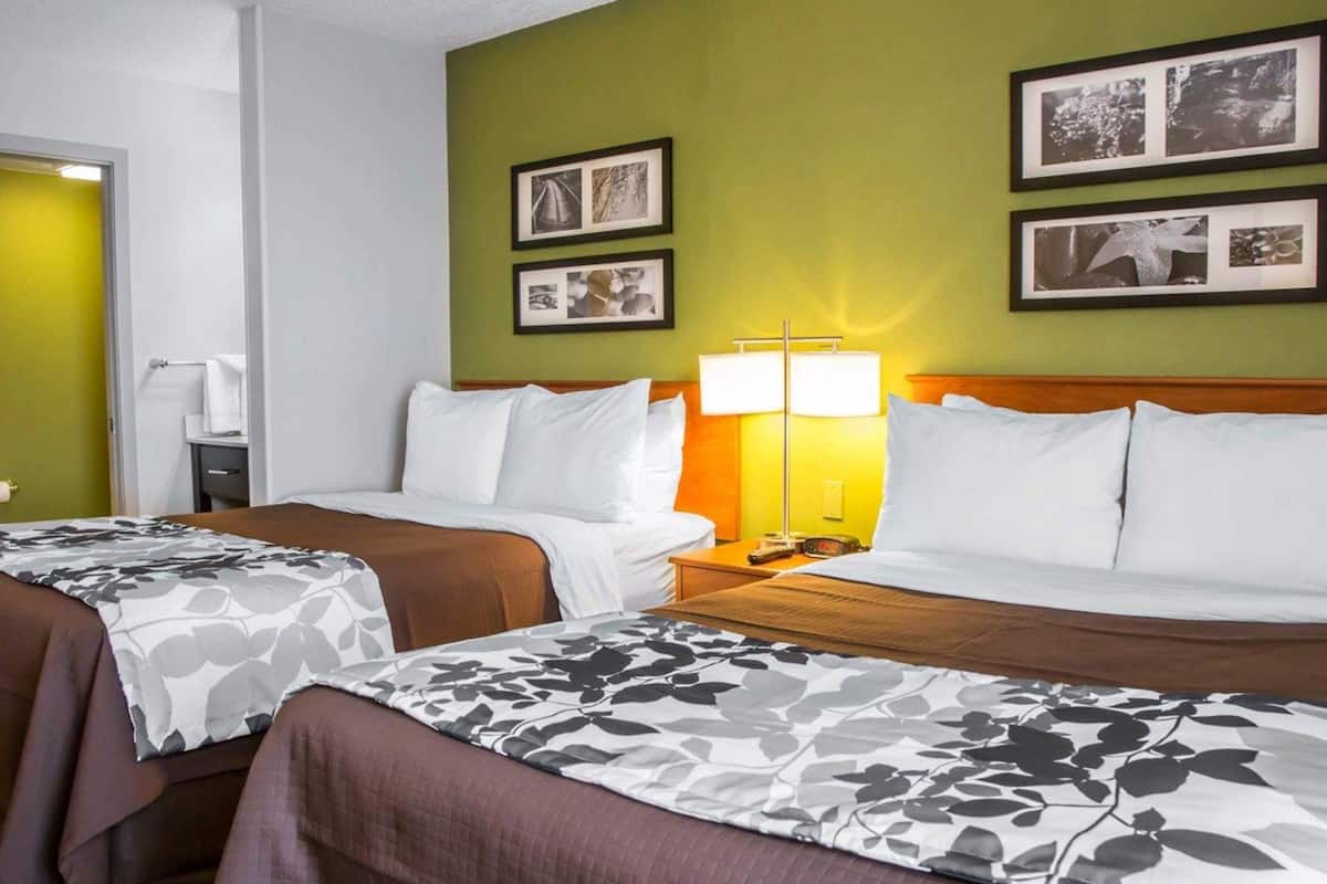 standard double room, 2 double beds, non smoking | desk, iron/ironing board, free cots/infant beds, free wifi