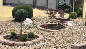 A landscaped garden with various plants and rocks. - Quality Inn Hillsville (Hillsville)