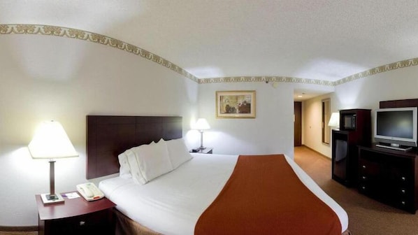 Habitación de hotel con una cama grande, dos lámparas de noche, un televisor y un cuadro en la pared.