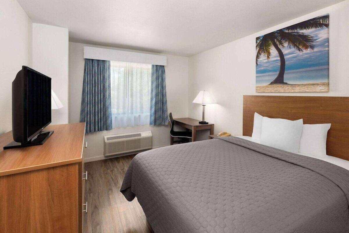 A hotel room with a bed, a desk, a television, a lamp, and a painting of a palm tree.