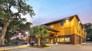 A multi-story hotel with a parking lot, outdoor seating, and a large tree. - Days Inn by Wyndham Biloxi Beach (Biloxi)