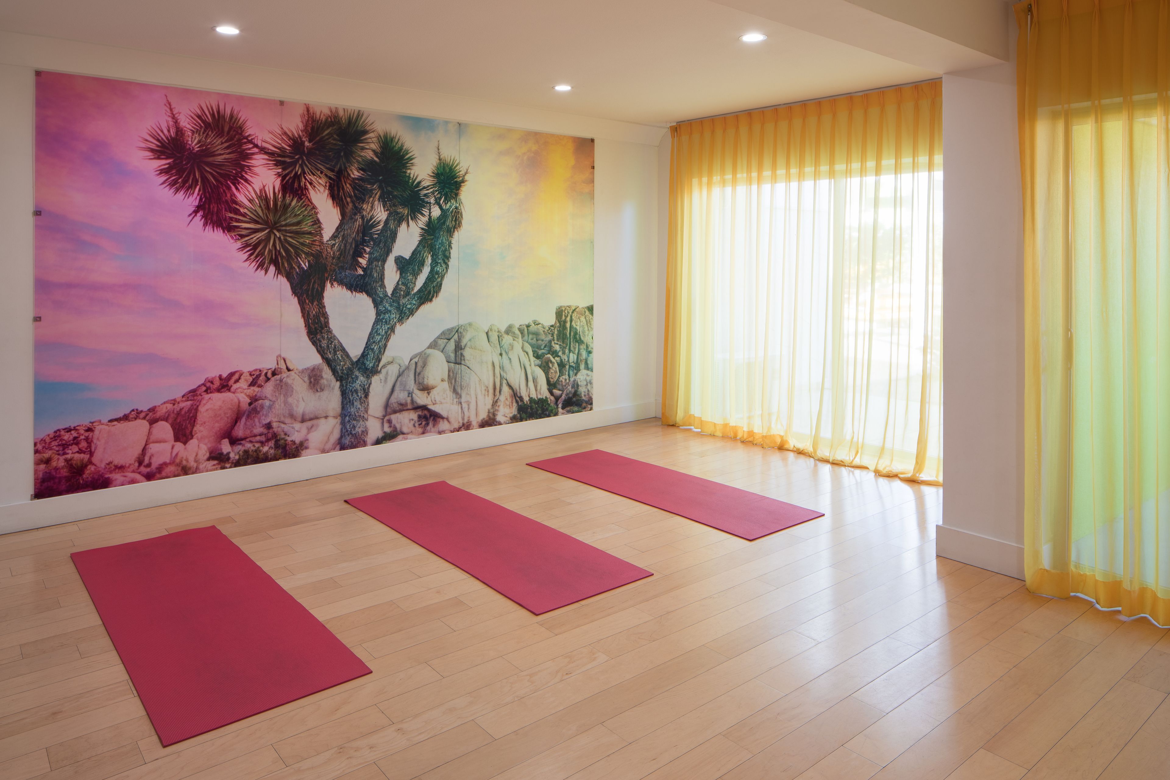 Foto - The Saguaro Palm Springs