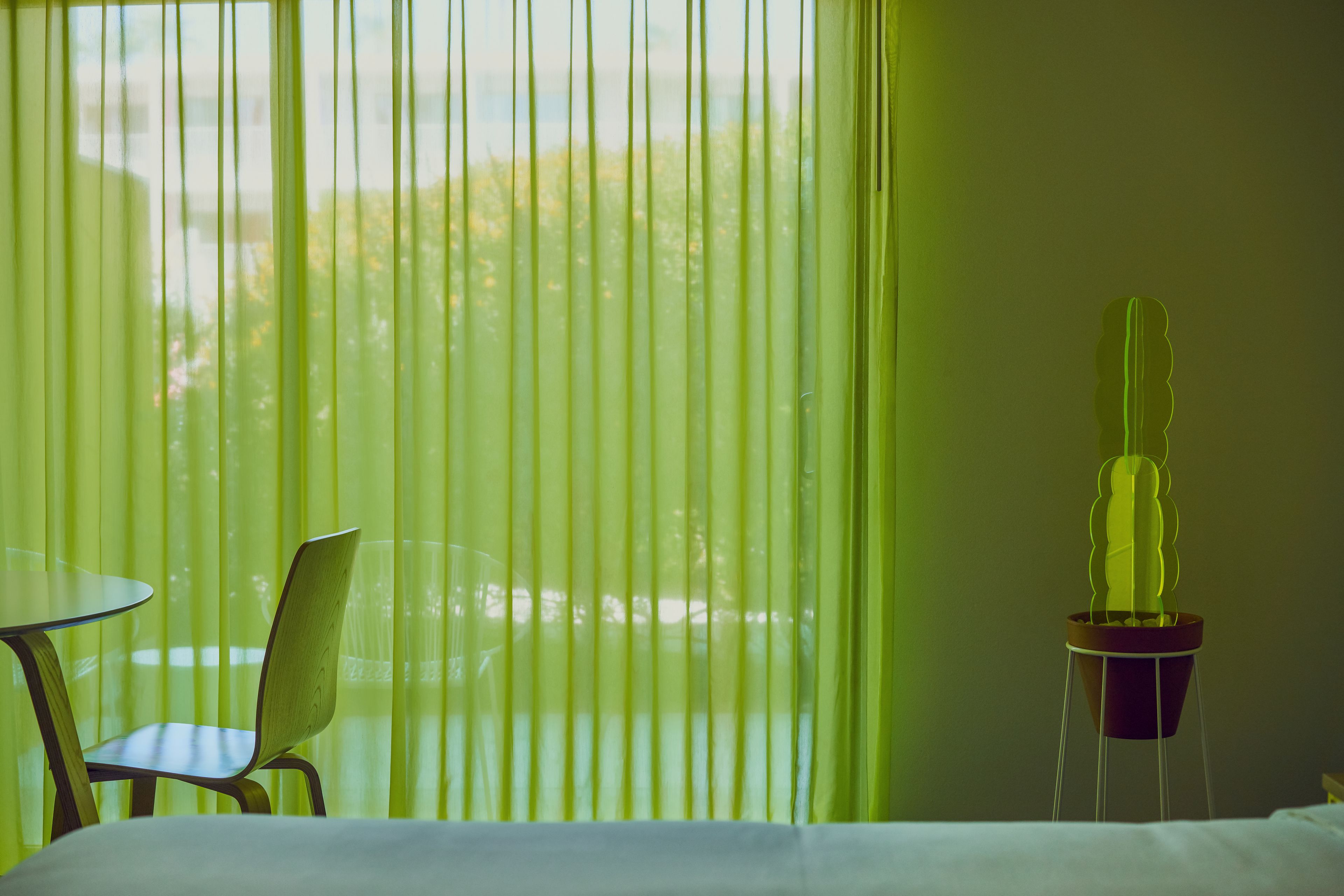 Una habitación de hotel con cama, una silla, una mesa y una planta de cactus.