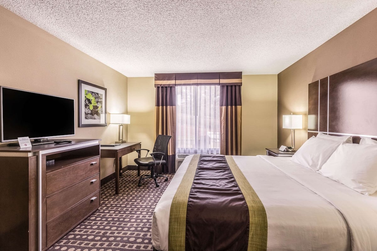 A hotel room with a bed, desk, chair, television, and curtains.