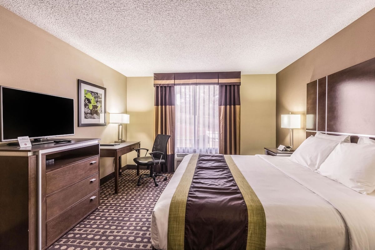 A hotel room with a bed, desk, chair, television, and curtains.
