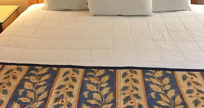 Americas Best Value Inn Laredo