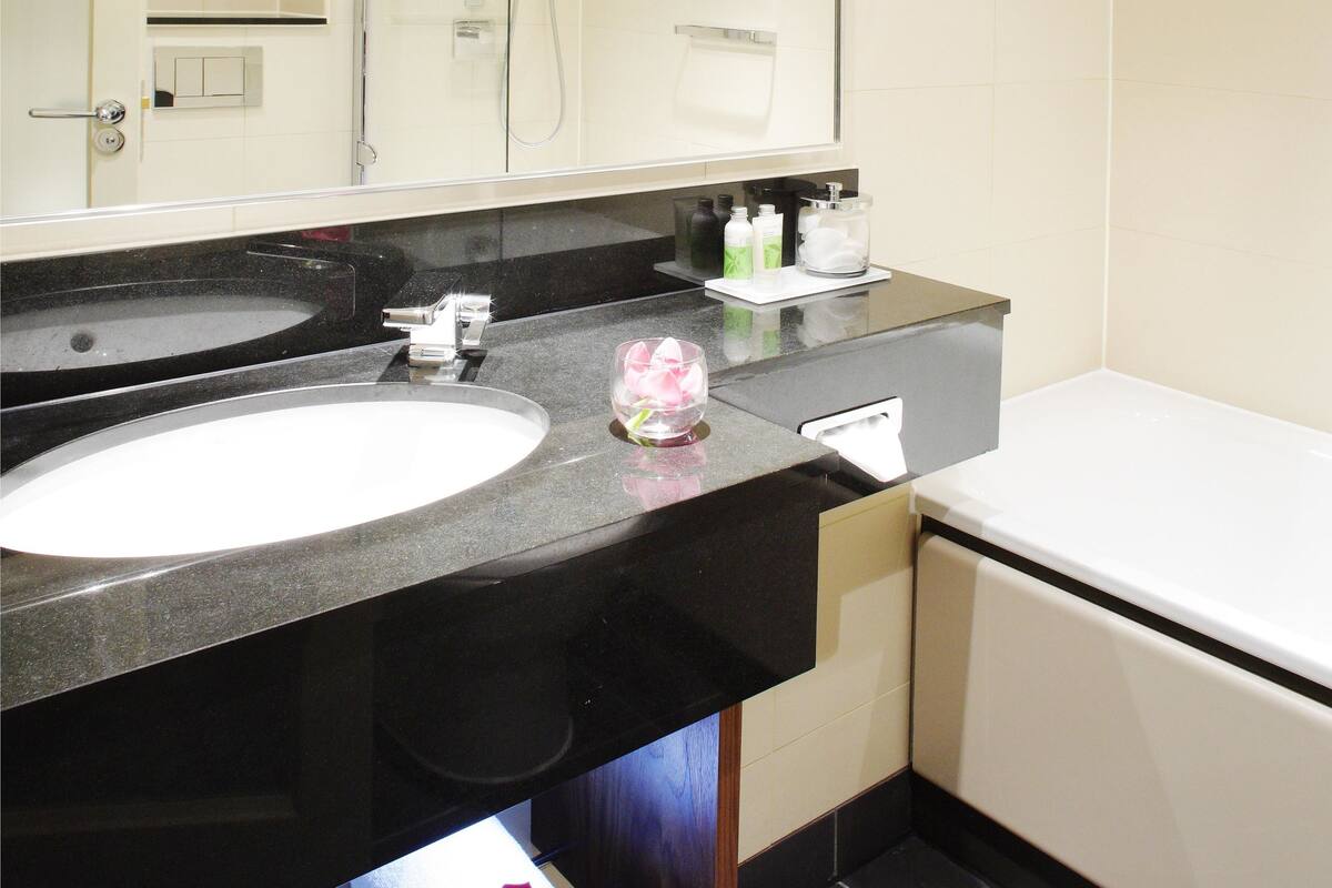 combined shower/bathtub, free toiletries, hair dryer, towels