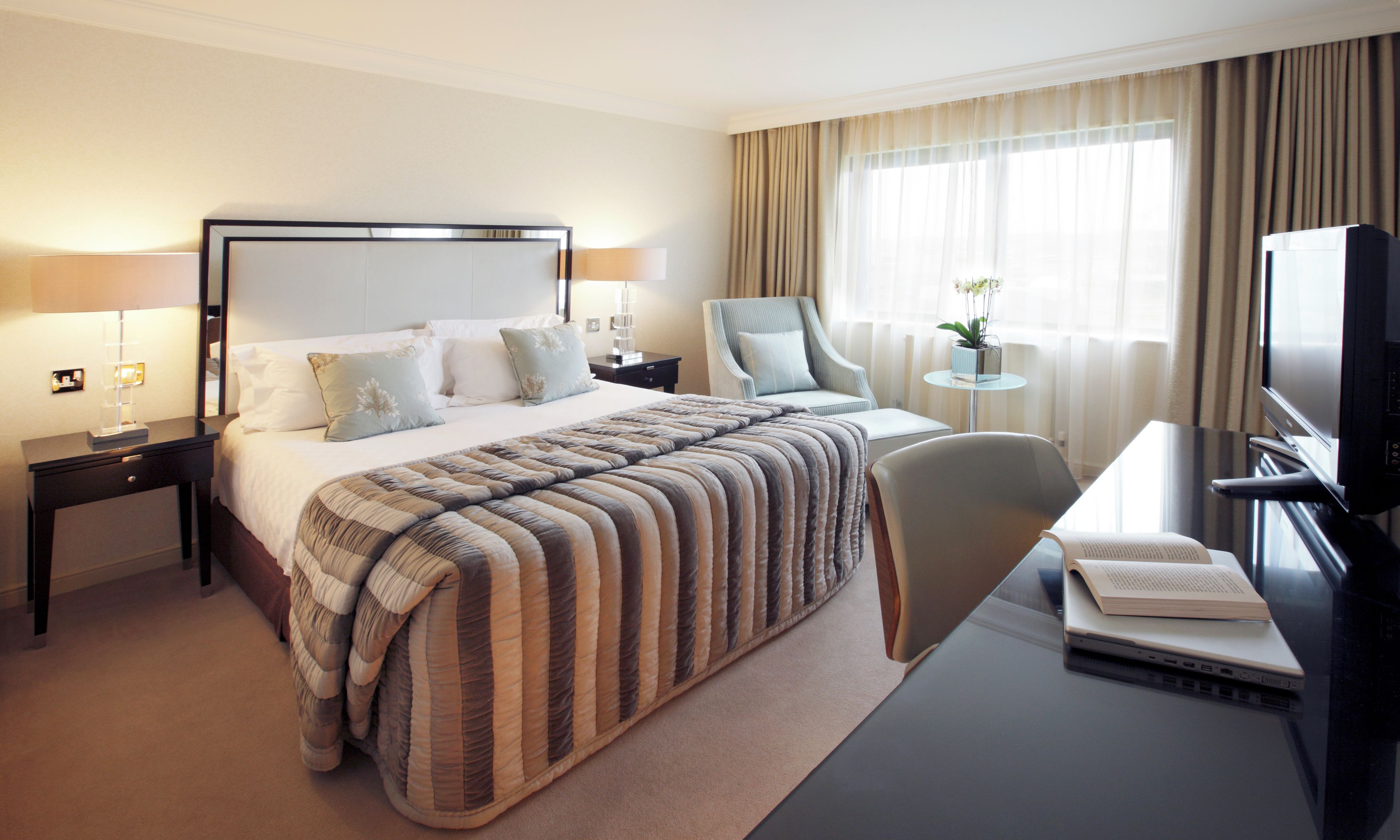 A hotel room with a bed, a desk with a laptop, a chair, a TV, and a small table with a plant.
