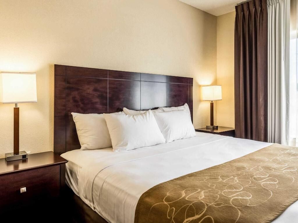 Premium bedding, in-room safe, desk, iron/ironing board