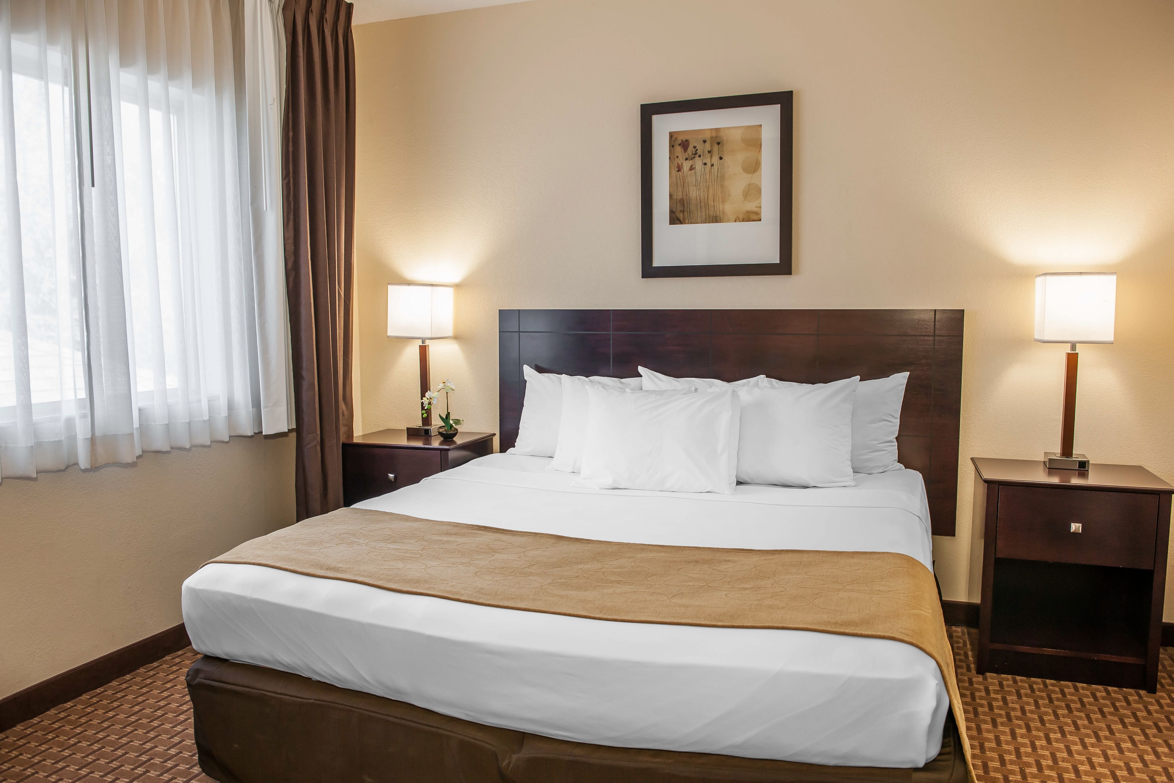 premium bedding, in-room safe, desk, iron/ironing board