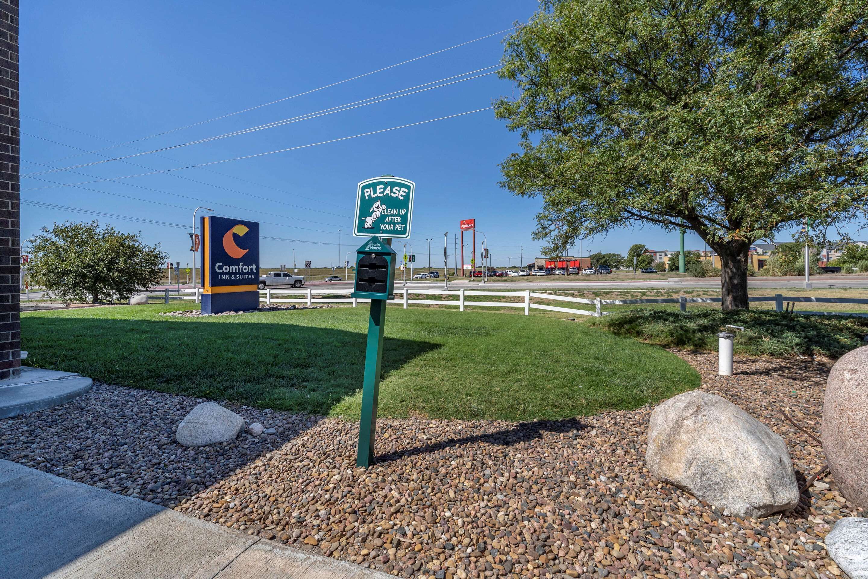 A Comfort Inn & Suites sign, a pet waste sign, and a large tree in the foreground.